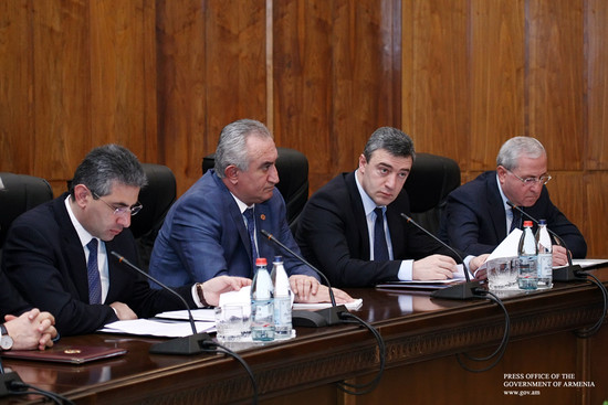 Քննարկվել է հանրապետությունում անտառվերականգնողական աշխատանքների ընթացքը