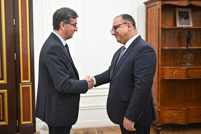 Փոխվարչապետ Տիգրան Խաչատրյանն ընդունել է  Ֆրանսիայի Օվերնյ-Ռոն-Ալպեր շրջանի պատվիրակությանը