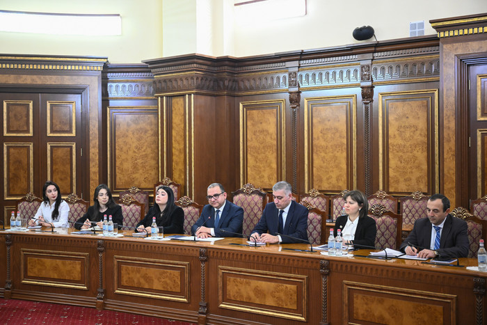 Փոխվարչապետ Տիգրան Խաչատրյանն  ընդունել է ԵԽ Մարդու իրավունքների հանձնակատար Մայքլ Օ'Ֆլահերթիին