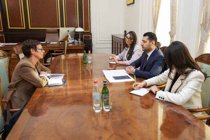 Փոխվարչապետ Մաթևոսյանը ընդունել է Հայաստանում Ֆրանսիայի դեսպանին
