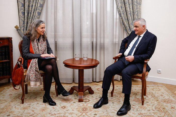Փոխվարչապետ Մհեր Գրիգորյանն ընդունել է Հարավային Կովկասի և Վրաստանում ճգնաժամի հարցերով ԵՄ նորանշանա