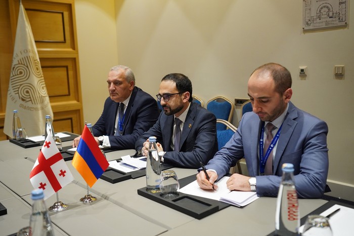 Փոխվարչապետ Տիգրան Ավինյանը հանդիպել է Վրաստանի էկոնոմիկայի ու կայուն զարգացման նախարարին