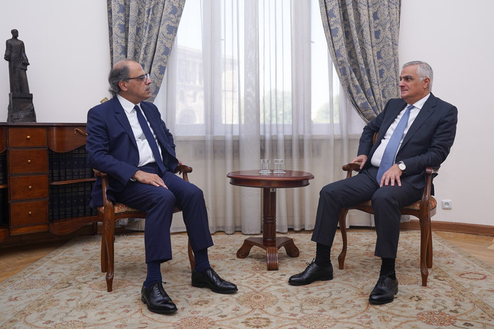 Փոխվարչապետ Մհեր Գրիգորյանն ընդունել է ԱՄՀ տարածաշրջանային տնօրենին