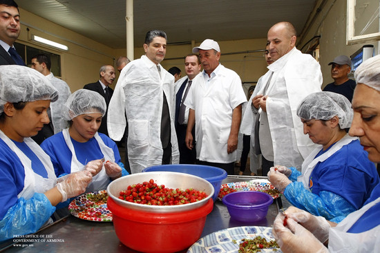 Վարչապետը ծանոթացել է վերամշակող ընկերության ներդրումային ծրագրերին