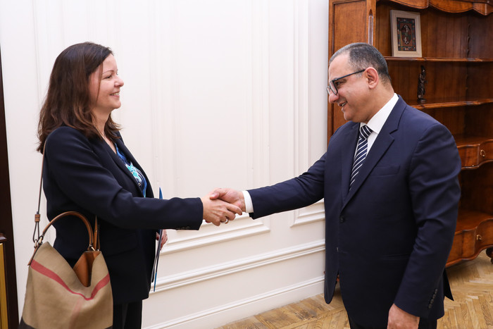 Տիգրան Խաչատրյանն  ընդունել է ՄԱԿ-ի մանկական հիմնադրամի ներկայացուցչին