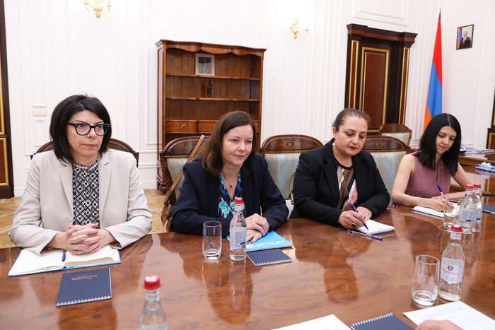 Տիգրան Խաչատրյանն  ընդունել է ՄԱԿ-ի մանկական հիմնադրամի ներկայացուցչին