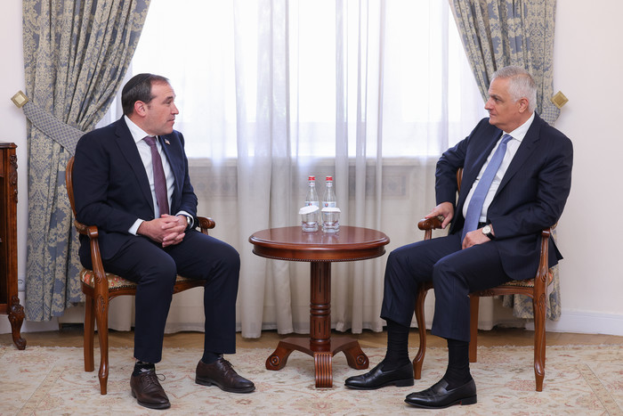 Փոխվարչապետ Մհեր Գրիգորյանն ընդունել է Խաղաղության առաքելությունների հարցերով ԱՄՆ հատուկ բանագնացի ա