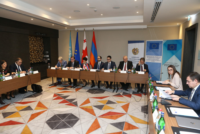 Փոխվարչապետ Տիգրան Ավինյանը մասնակցել է Հայ-վրացական իրավական համագործակցության երրորդ ֆորումին