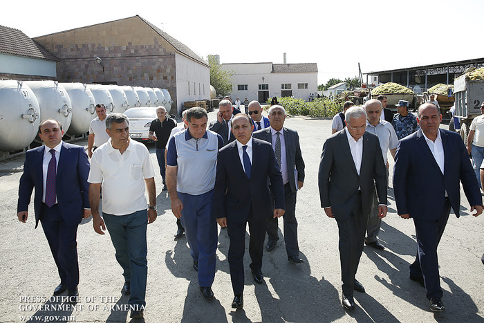 Խաղողի մթերման գործընթացը գտնվում է վարչապետի ուշադրության կենտրոնում