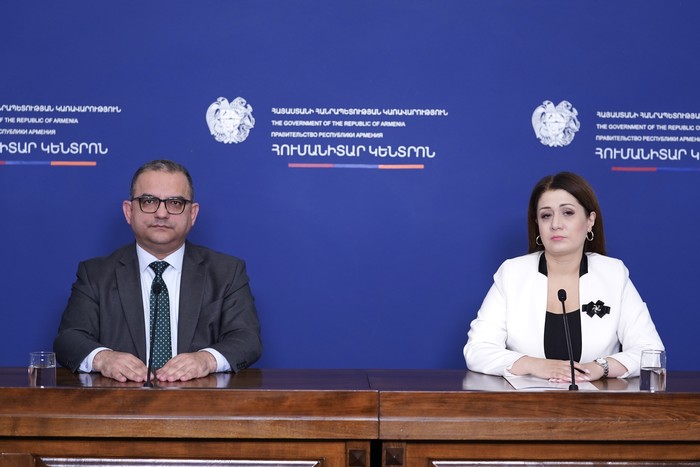 Ներկայացվել են ՀՀ կառավարության կողմից իրականացվող ԼՂ-ից բռնի տեղահանված անձանց աջակցության ծրագրերը