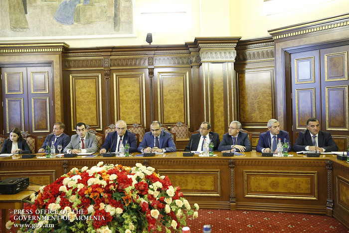 Կառավարությունում ներկայացվել է Հայաստանի ժողովրդագրական իրավիճակի բարելավման ծրագրի նախագիծը