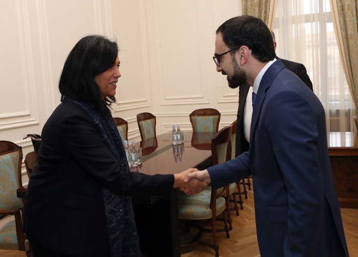 Փոխվարչապետի պաշտոնակատար Տիգրան Ավինյանն ընդունեց «Վեոլիա» ընկերության Կենտրոնական և Արևելյան Եվրոպ