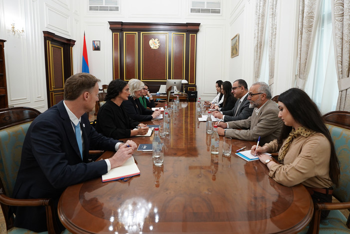 Փոխվարչապետ Տիգրան Խաչատրյանն ընդունել է ԵԽ մարդու իրավունքների հանձնակատարին