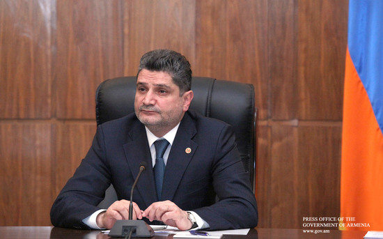 Տիգրան Սարգսյանը հանձնարարել է համապատասխան գերատեսչությունների ղեկավարներին՝ բնապահպանների հետ քննա