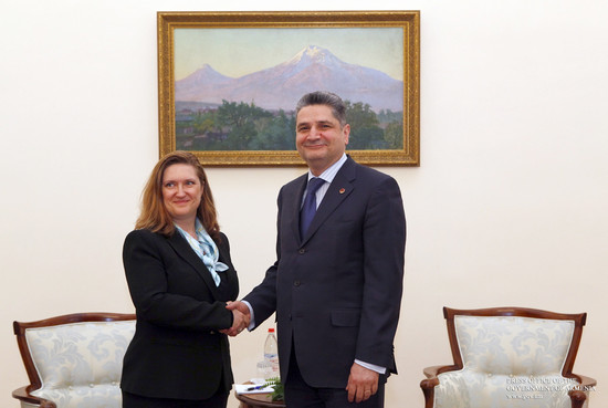 Քննարկվել են «Մայքրոսոֆթ» ընկերության հետ համագործակցությանն առնչվող հարցեր