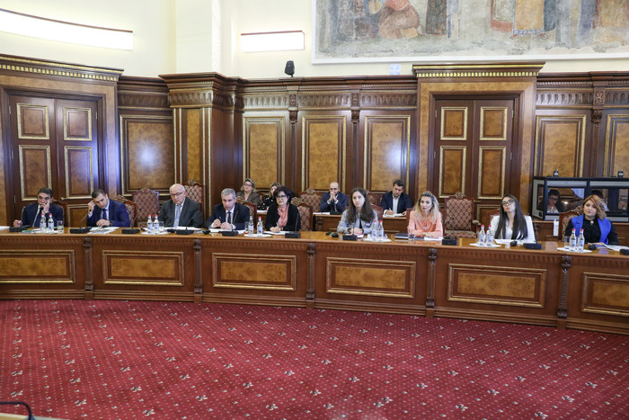 Հայաստանի Հանրապետությունն ունի կլիմայական հավակնոտ օրակարգ․ փոխվարչապետ Մաթևոսյան