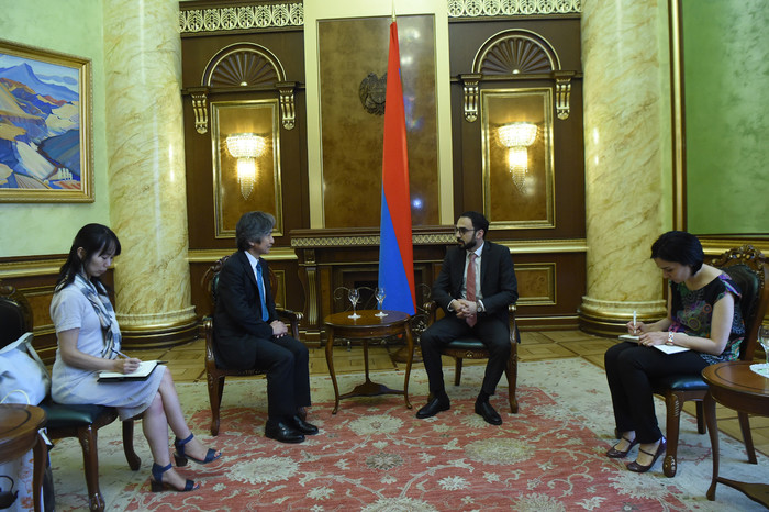 Փոխվարչապետ Տիգրան Ավինյանը ընդունել է Ճապոնիայի արտակարգ և լիզաոր դեսպան Ջուն Յամադային