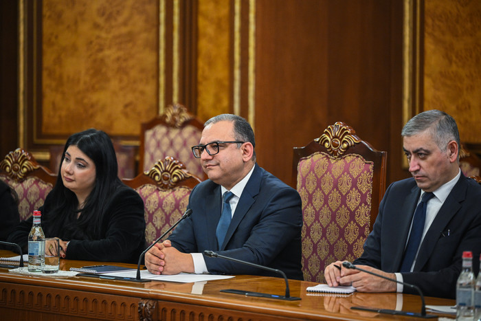 Փոխվարչապետ Տիգրան Խաչատրյանն  ընդունել է ԵԽ Մարդու իրավունքների հանձնակատար Մայքլ Օ'Ֆլահերթիին