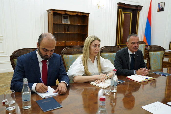 Փոխվարչապետ Տիգրան Խաչատրյանն ընդունել է Հայաստանում Կարմիր խաչի միջազգային կոմիտեի (ԿԽՄԿ) պատվիրակո